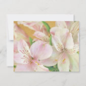 Zachte Alstromeria Painting Kaart (Achterkant)