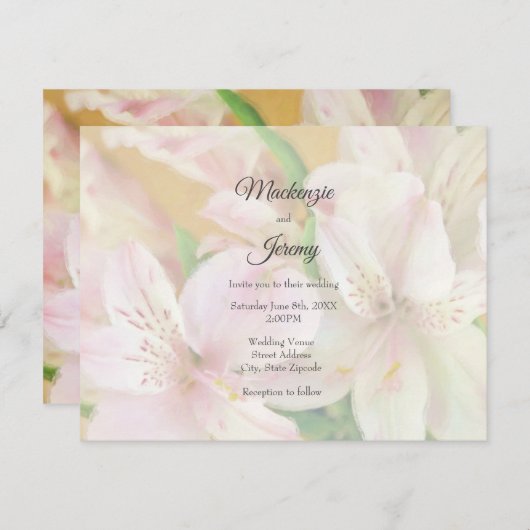 Zachte Alstromeria Schildering Kaart (Voorkant / Achterkant)