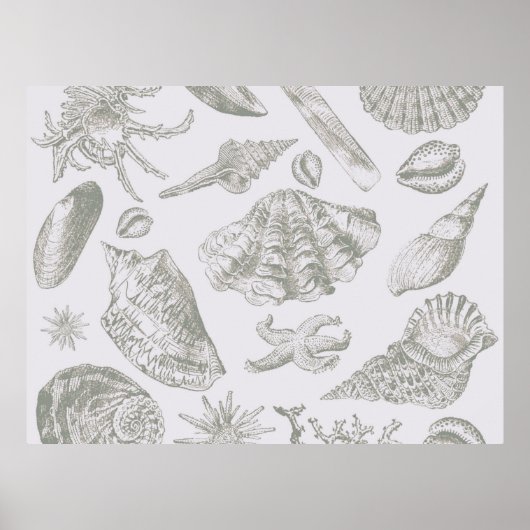 Zachte Antique Kunst Strand Schelp Poster (Voorkant)