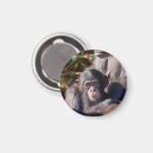 Zachte Beginnings – Chimpansee Liefde Magneet (Voorkant / Achterkant)