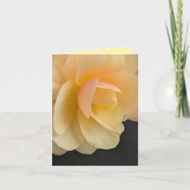 Zachte Begonia Wenskaart Bedankkaart