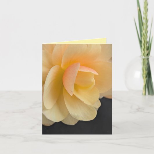 Zachte Begonia Wenskaart Bedankkaart (Voorkant)