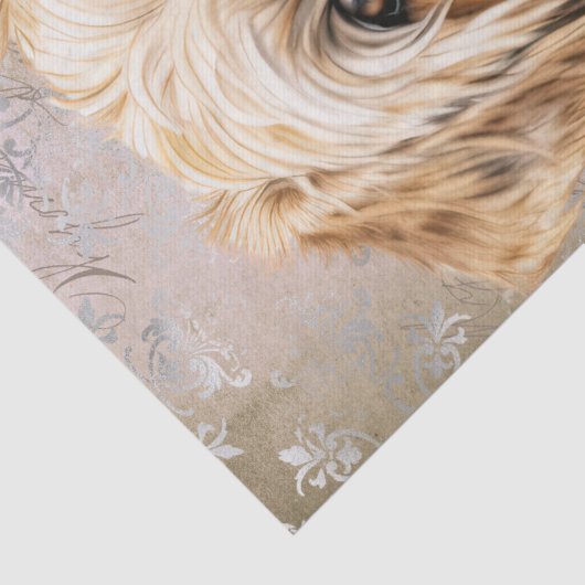 Zachte beklede tarweterriër hond tissuepapier (Detail)