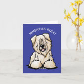 Zachte beklede wielrenner kaart (Gele Bloem)