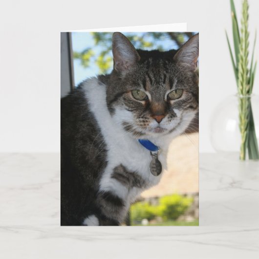 Zachte blanco Wenskaart Kaart (Voorkant)