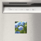 Zachte Blauwe Hortensia Magneet (Insitu (Vaatwasser))