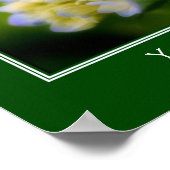 Zachte blauwe hydrangea ventilator, speciaal aange poster (Hoek)