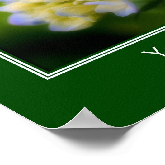 Zachte blauwe hydrangea ventilator, speciaal aange poster (Hoek)