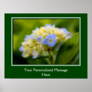 Zachte blauwe hydrangea ventilator, speciaal aange poster