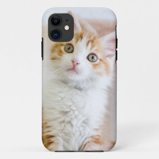 Zachte blauwe ogen kitty Case-Mate iPhone case (Achterkant)
