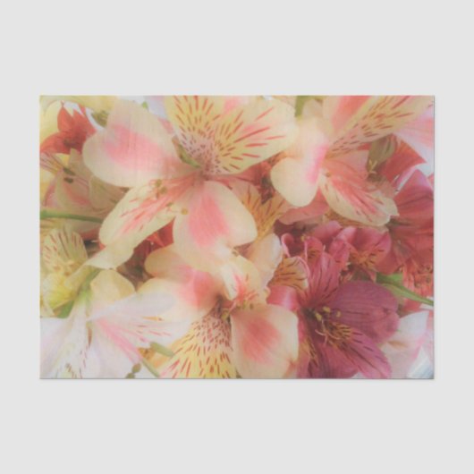 Zachte Bloemen Tissuepapier (Voorkant)