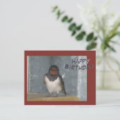 Zachte Boerenzwaluw Verjaardagskaart Briefkaart (Staand voorkant)