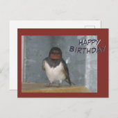 Zachte Boerenzwaluw Verjaardagskaart Briefkaart (Voorkant / Achterkant)