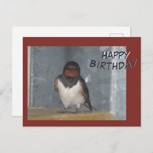 Zachte Boerenzwaluw Verjaardagskaart Briefkaart (Voorkant / Achterkant)