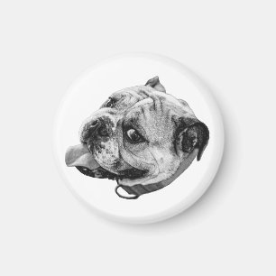 Zachte Bulldog Magneet