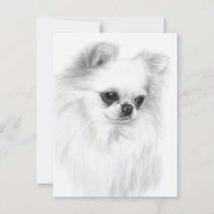 Zachte Chihuahua handgeschilderde kunstwerken Briefkaart