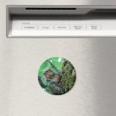 Zachte Chipmunk in Boom Kleding en Cadeaus Magneet (Insitu (Vaatwasser))