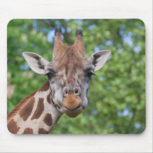 Zachte Curios Giraffe Muismat