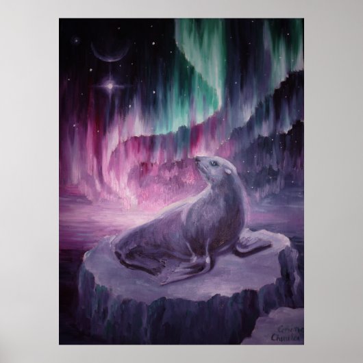 Zachte eenzame zeehond poster (Voorkant)