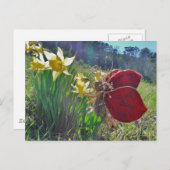 Zachte en gele bloemen briefkaart (Voorkant / Achterkant)