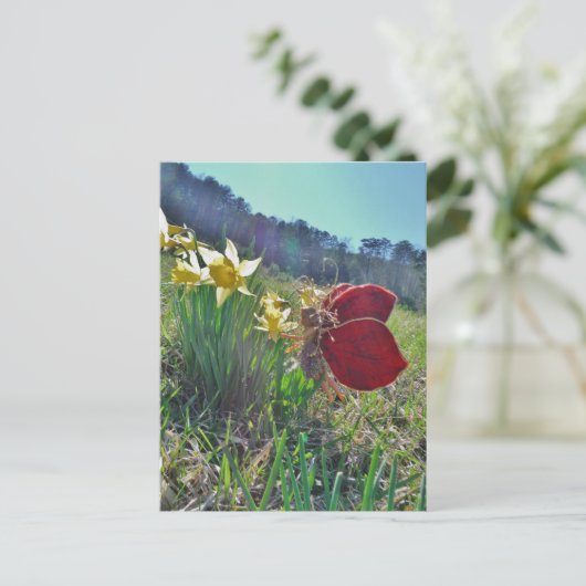 Zachte en gele bloemen briefkaart (Staand voorkant)