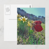 Zachte en gele bloemen briefkaart (Voorkant / Achterkant)