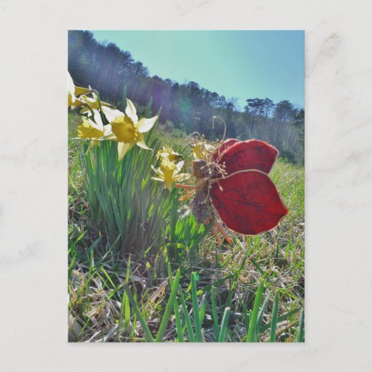 Zachte en gele bloemen briefkaart (Voorkant)