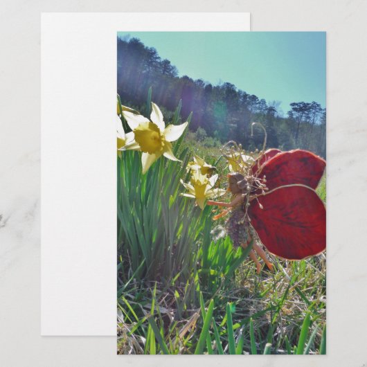 Zachte en gele bloemen briefpapier (Voorkant / Achterkant)