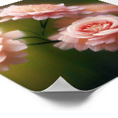 Zachte en lichtroze rozen poster (Hoek)