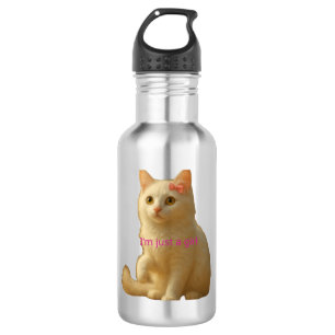 Zachte Esthetische Kattenmeme en Vrouwelijk Waterfles