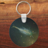 Zachte garnaal sleutelhanger (Voorkant)