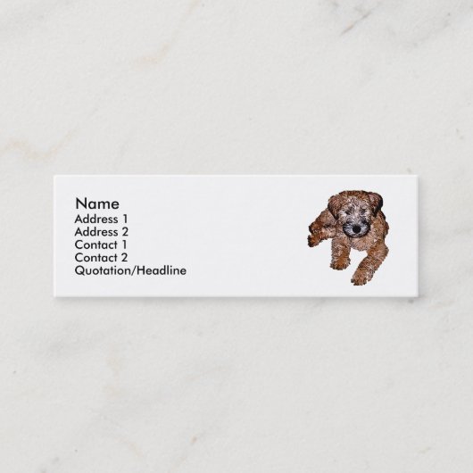 Zachte gecoate tarweterriër puppy mini visitekaartje (Voorkant)