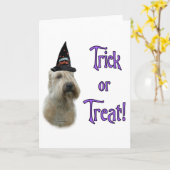 Zachte gecoate tarwetruc Wenskaart Kaart (Gele Bloem)