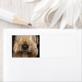 Zachte gecoate whaton terrier.png etiket (Insitu)