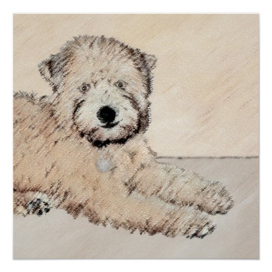 Zachte gecoate Wheaten Terrier schilderij Originel Perfect Poster (Voorkant)
