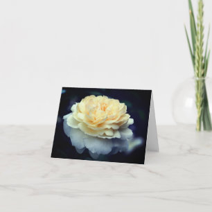 Zachte Gele Roos Bloem Fotografie  Notitiekaartje