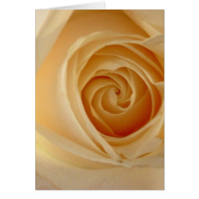 Zachte gele roze (Voorkant)