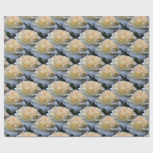 Zachte gele rozenfluitpatroon Natuur    Cadeaupapier (Vlak)