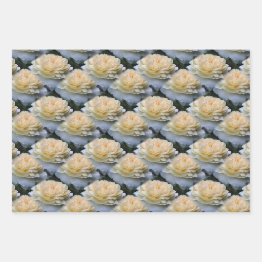 Zachte gele rozenfluitpatroon Natuur Inpakpapier Vel (Voorkant 2)