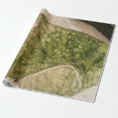 Zachte gevlekte strandsteen Towoon Bay Cadeaupapier (Uitgerold)
