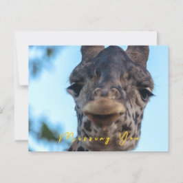 Zachte Giraffe Briefkaart