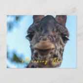 Zachte Giraffe Briefkaart (Voorkant)