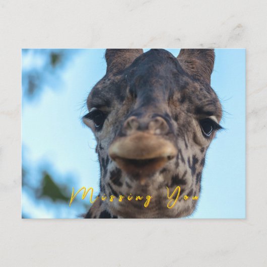 Zachte Giraffe Briefkaart (Voorkant)