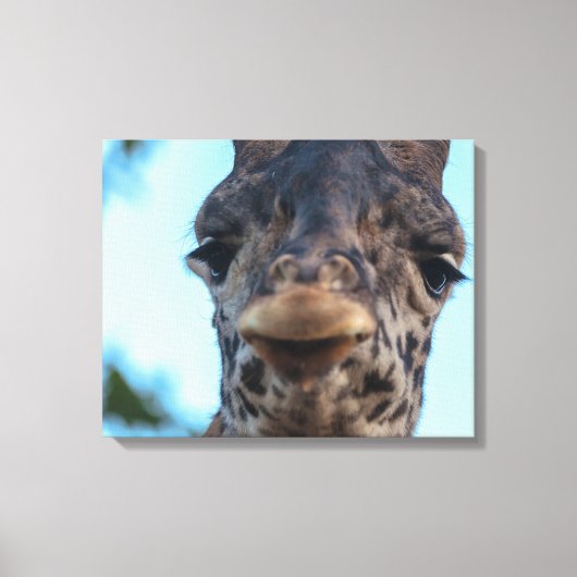 Zachte Giraffe Canvas Afdruk (Voorkant)
