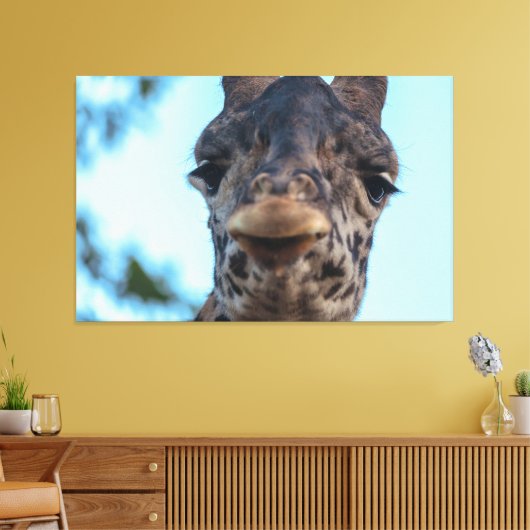 Zachte Giraffe Canvas Afdruk (Insitu (Woonkamer))