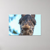 Zachte Giraffe Canvas Afdruk (Voorkant)