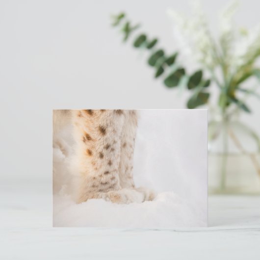 Zachte gouden lynxpoten in de sneeuw briefkaart (Staand voorkant)