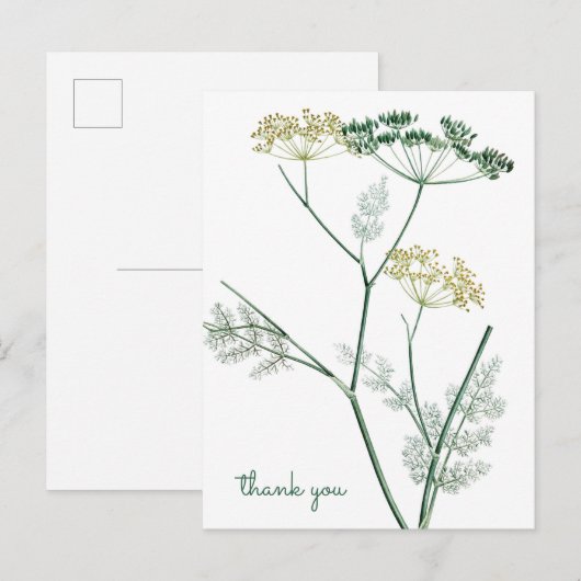 Zachte Groene Botanische IV - Dank je wel Briefkaart (Voorkant / Achterkant)