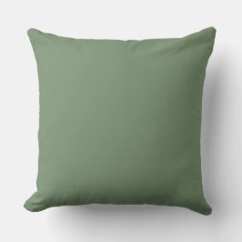Zachte groene effen kleur, eenvoudig, modern, tren kussen