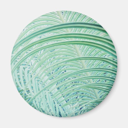 Zachte Groene Plant Palmblad Magneet (Voorkant)